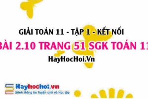 Giải bài 2.10 trang 51 Toán 11 tập 1 SGK Kết nối tri thức